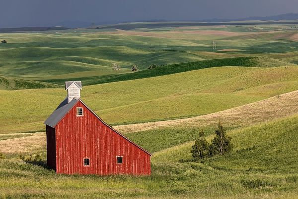 Red barn in valley of rolling farm fields-Palouse agricultural region of western Idaho